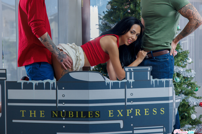 The Nubiles Express 02