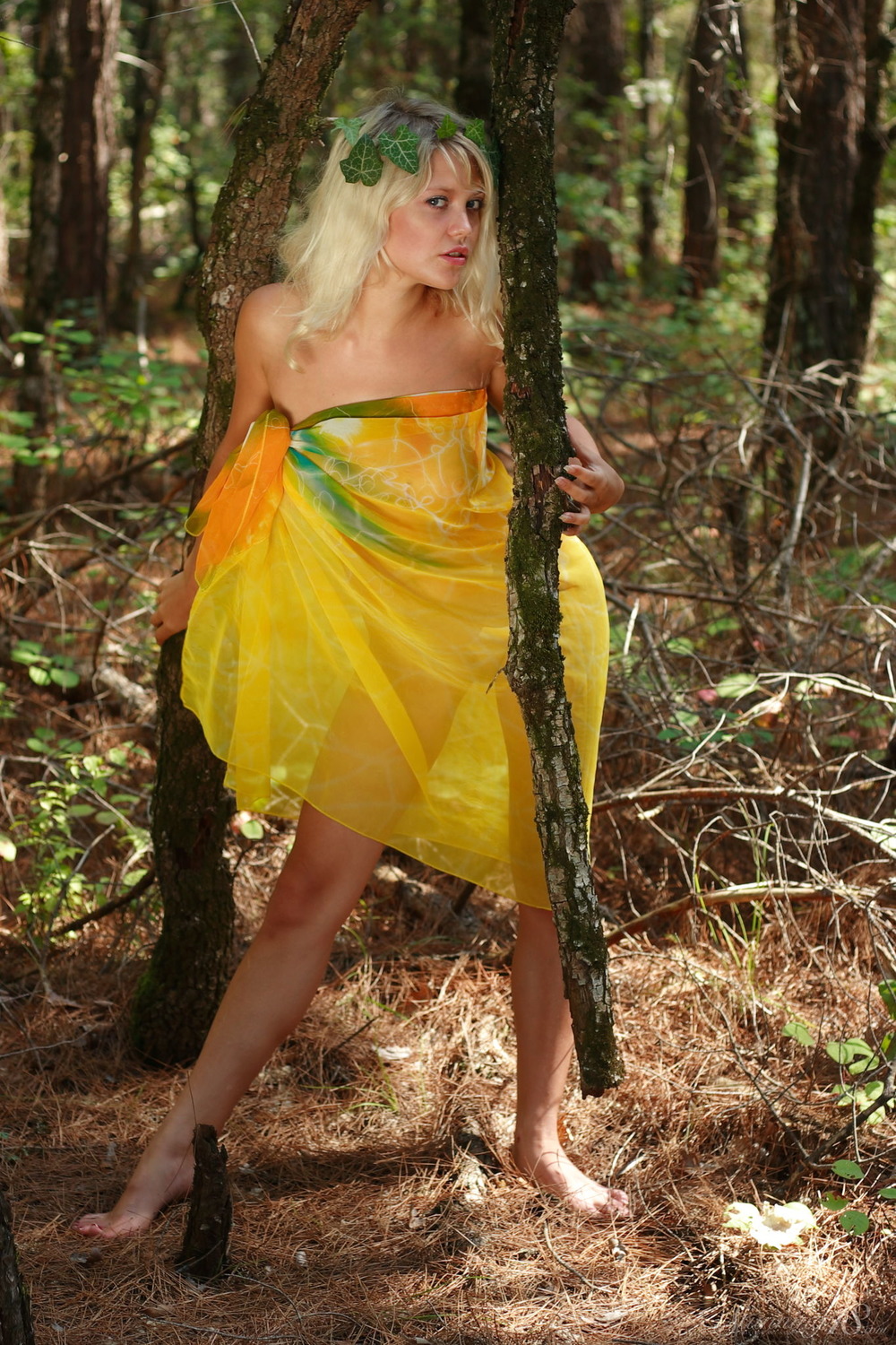 Forest Fairy 03